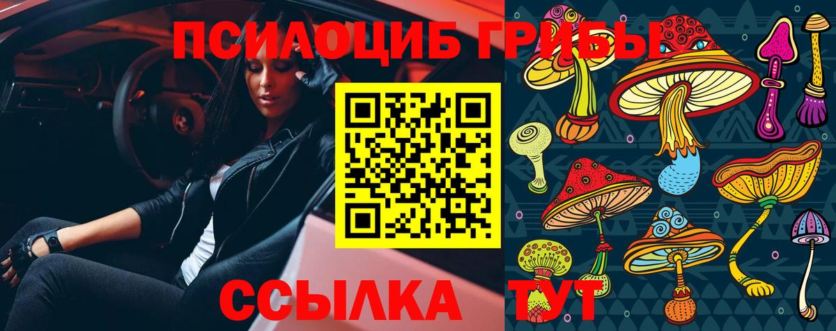 Трёхгорный  Псилоцибиновые грибы мицелий  Вход с VPN 